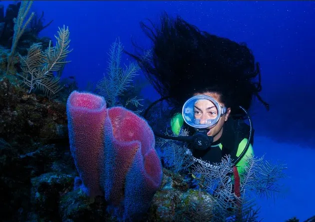 MExplor Diving