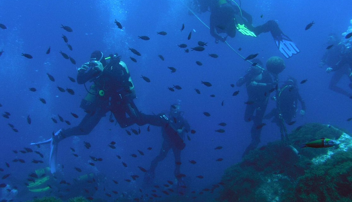 Diving
