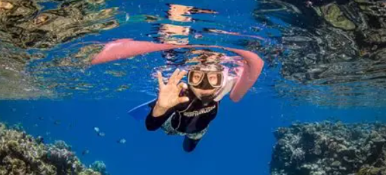 MExplor Snorkel (La Ventana)