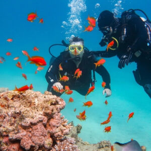 Buceo