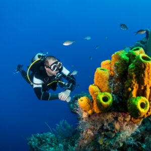 Diving