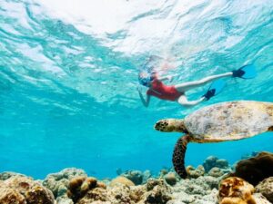 Diving