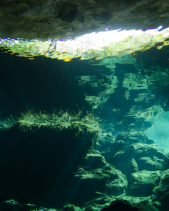 Diving
