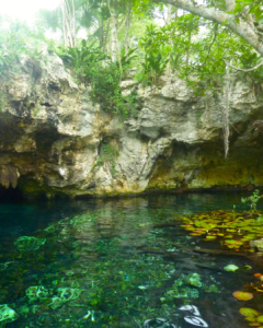 MExplor Diving