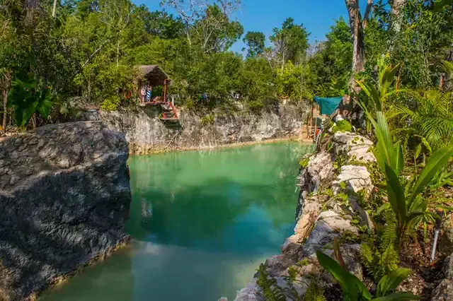 Diving