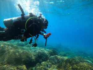Diving