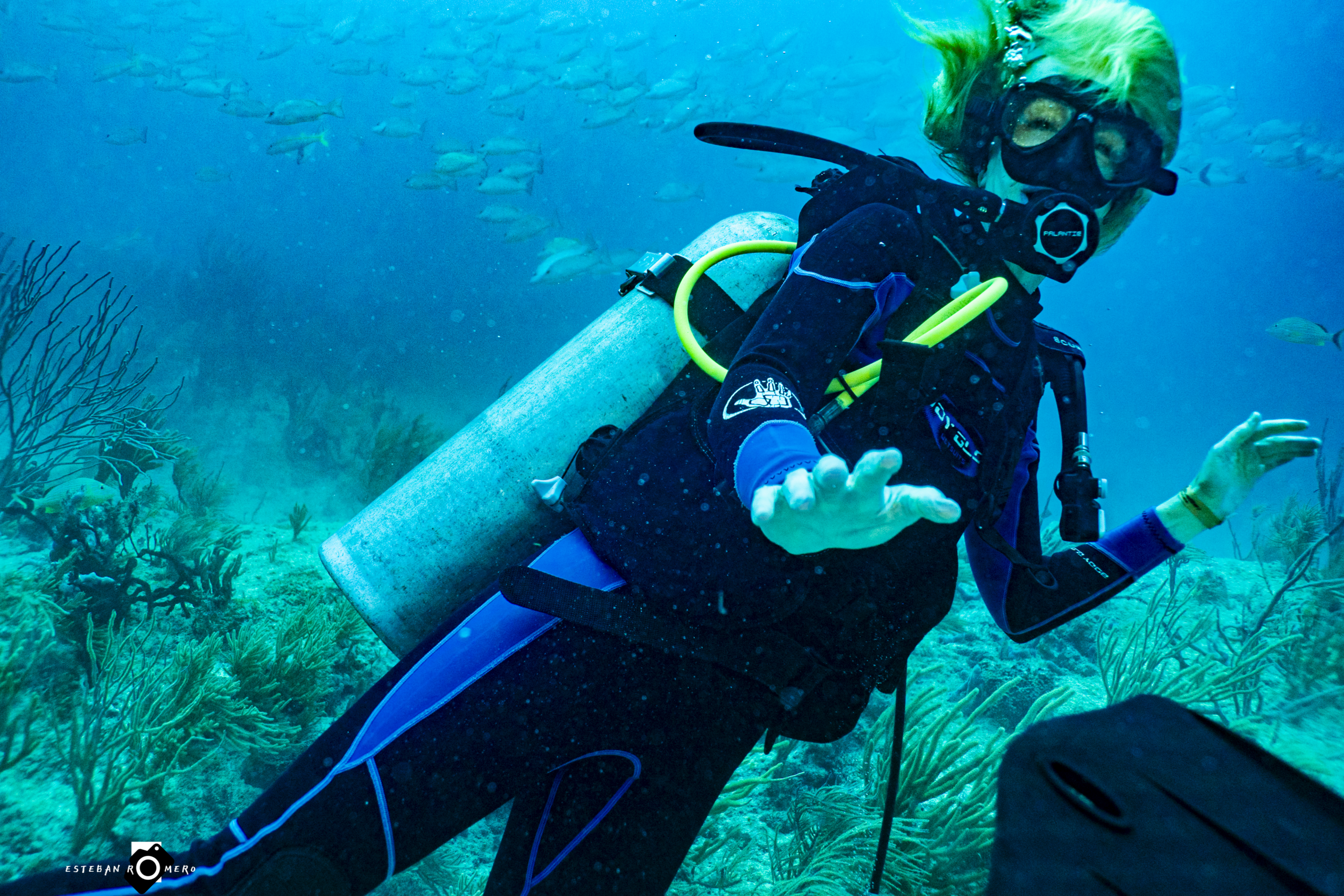 Diving
