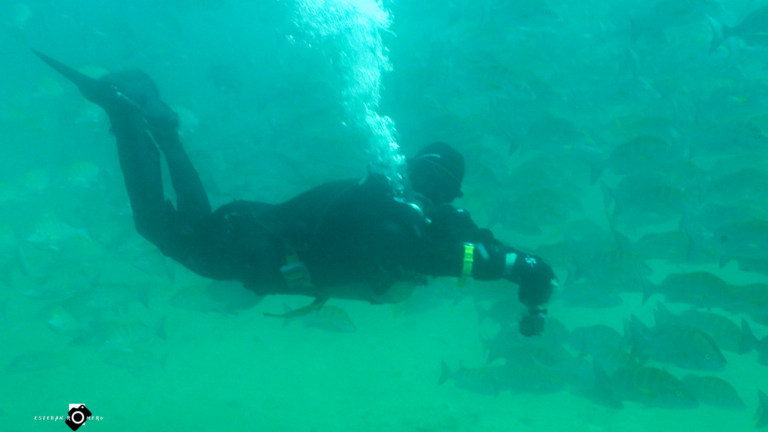MExplor Diving
