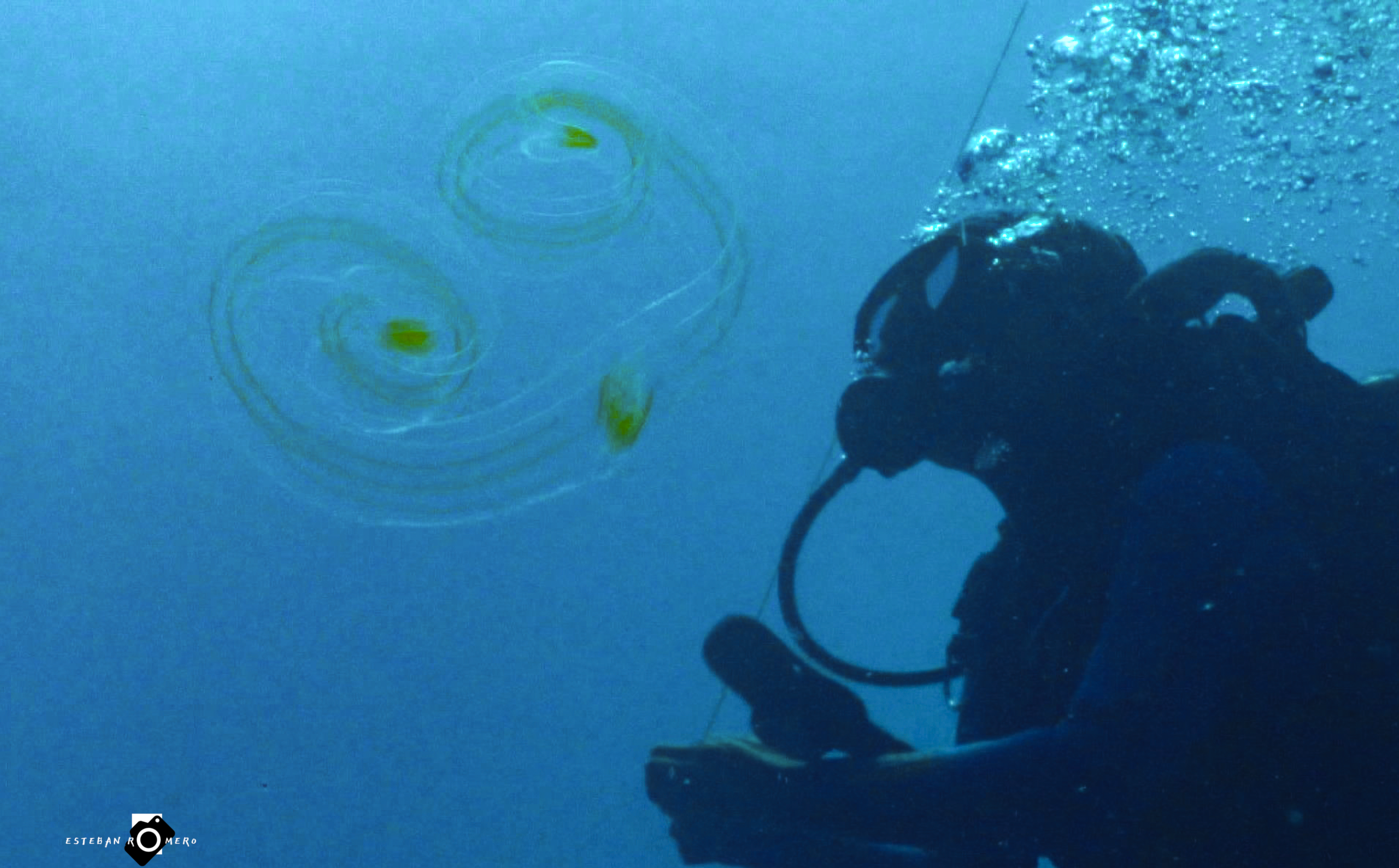 MExplor Buceo