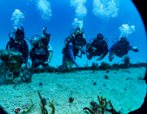 MExplor Diving