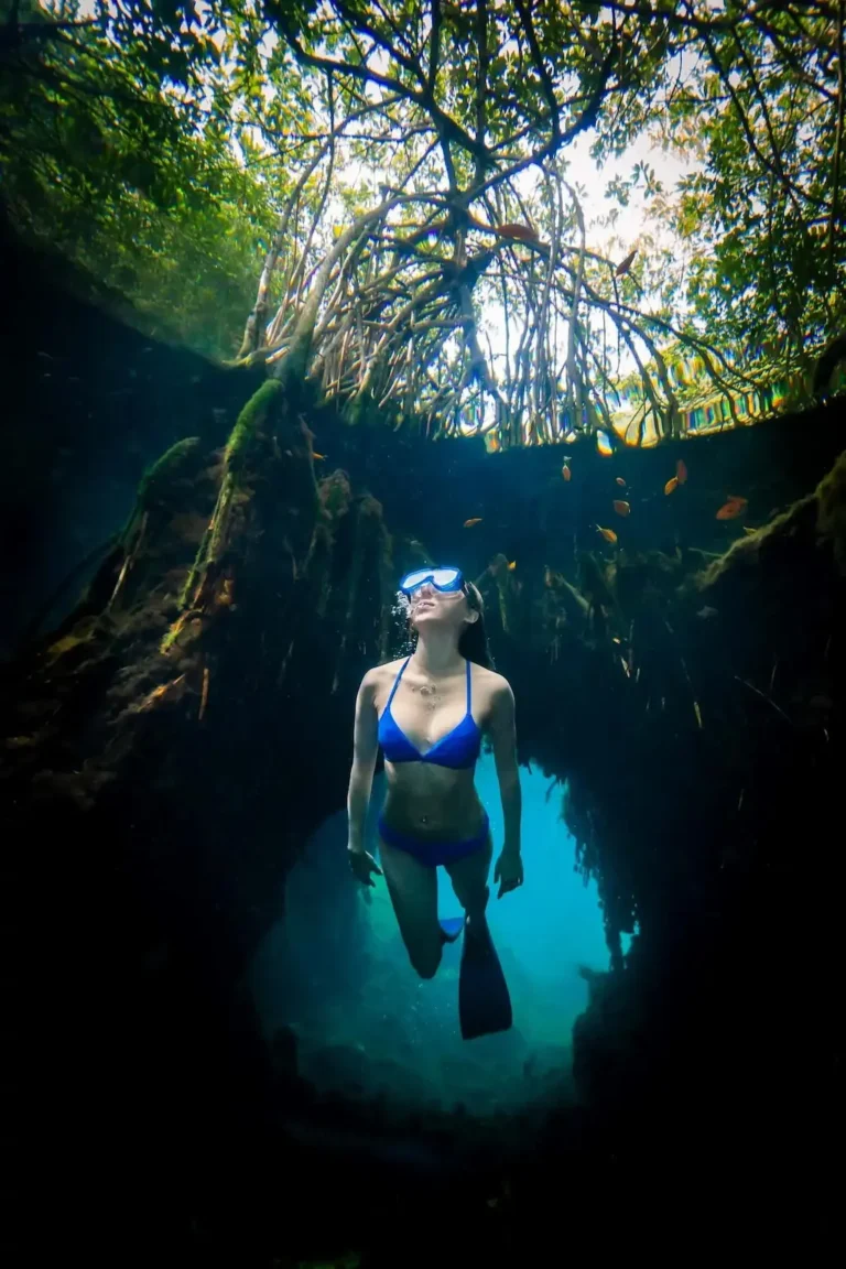 MExplor Freediver beneath the water surface with tree roots visible above