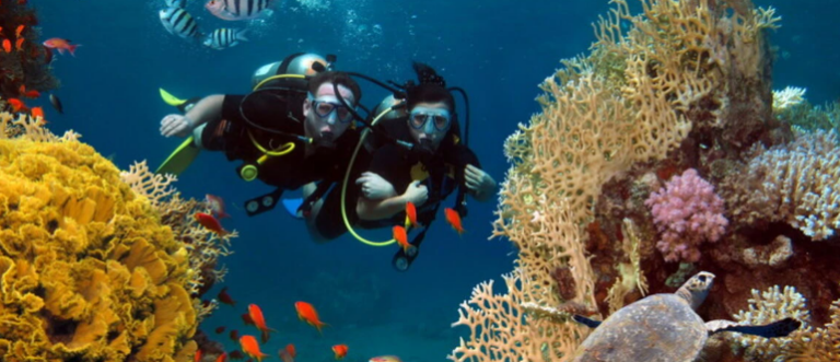 MExplor Buceo