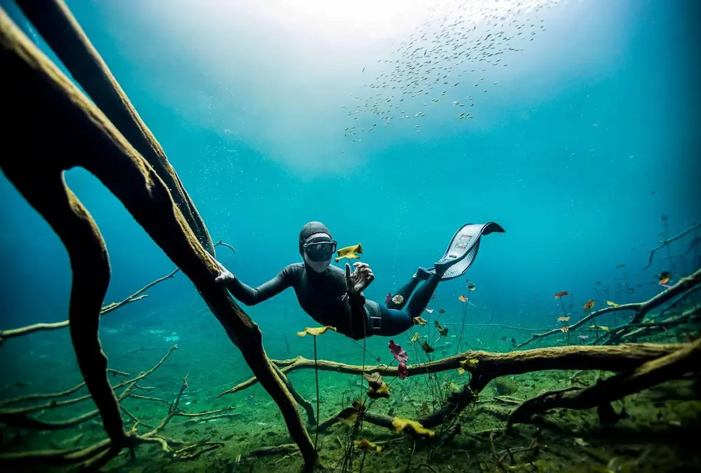 MExplor Diving