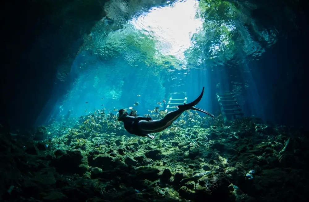 MExplor Diving