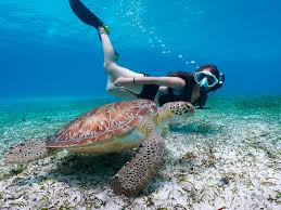 Diving