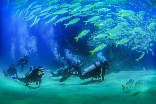 MExplor Diving