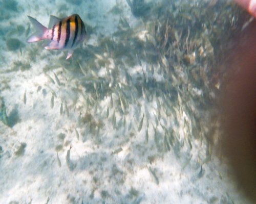 5970b877-ed76-4beb-9d8e-39566bb2c06d