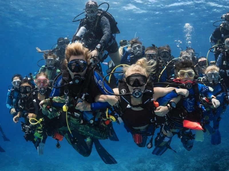 WhatsApp Image 2026-03-31 at 12.27.48