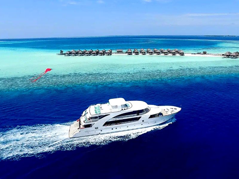 WhatsApp Image 2026-03-31 at 12.34.58 PM