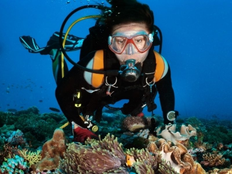 WhatsApp Image 2026-03-31 at 4.07.56 PM