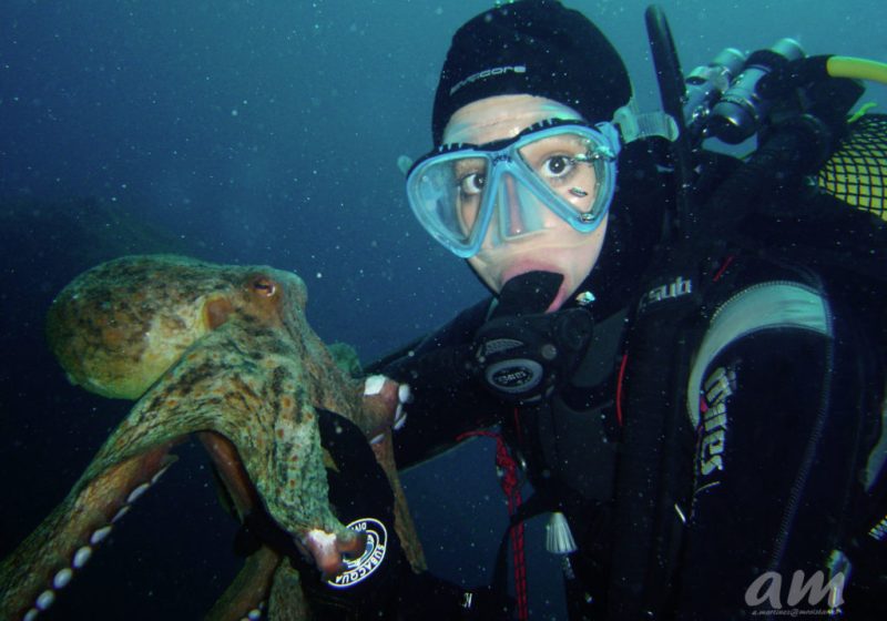 cabobuceo