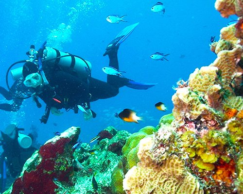 cozumel-introductory-to-scuba-diving