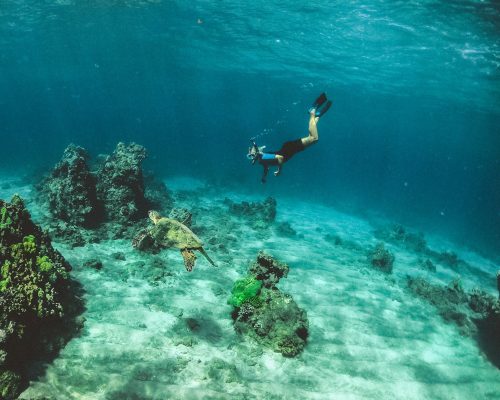 man in blue shorts diving on water