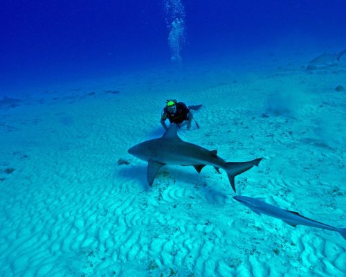 best scuba-diving sites in Mexico
