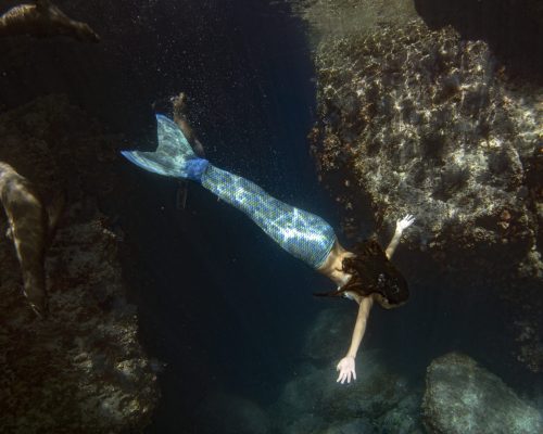 black hair Mermaid swimming underwater in the deep blue sea with a sea lion